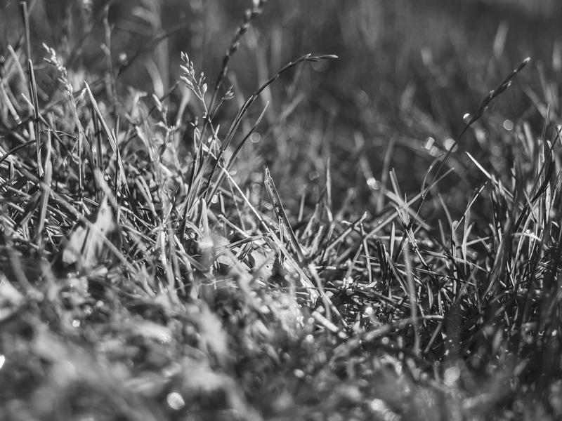 sudoku multiple solutions screenshot 3